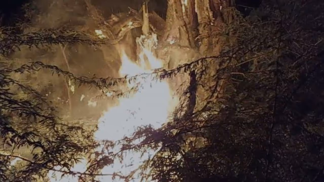 रहस्य से कम नहीं यह मामलाः सालों पुराने हरे भरे बरगद के पेड़ मे अचानक लग गई आग, लोगों का मानना अशुभ संकेत रहस्य से कम नहीं यह मामलाः सालों पुराने हरे भरे बरगद के पेड़ मे अचानक लग गई आग, लोगों का मानना अशुभ संकेत