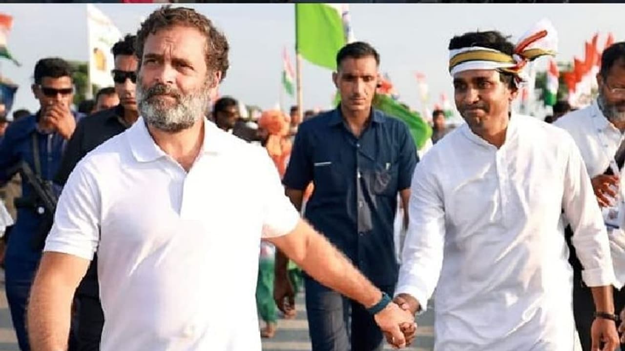 राहुल गांधी की भारत जोड़ो यात्रा में 250 कारीगर हर दिन बनाते हैं 3 से 4 हजार लोगों का खाना, साथ चलती है रसोई राहुल गांधी की भारत जोड़ो यात्रा में 250 कारीगर हर दिन बनाते हैं 3 से 4 हजार लोगों का खाना, साथ चलती है रसोई