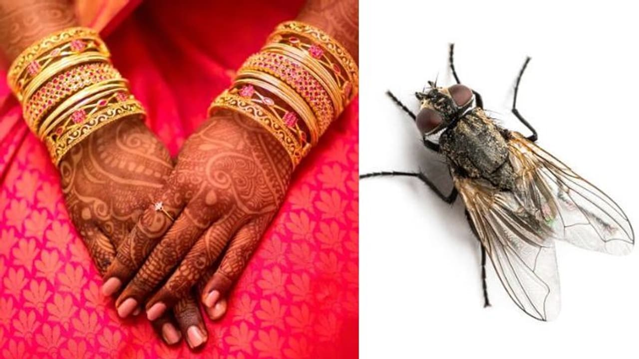 நாங்க பொண்ணு தரவேமாட்டோம்.! இளைஞர்களின் திருமணத்தில் மண்ணை அள்ளிப்போட்ட ‘ஈக்கள்’ இப்படியொரு கிராமமா ?