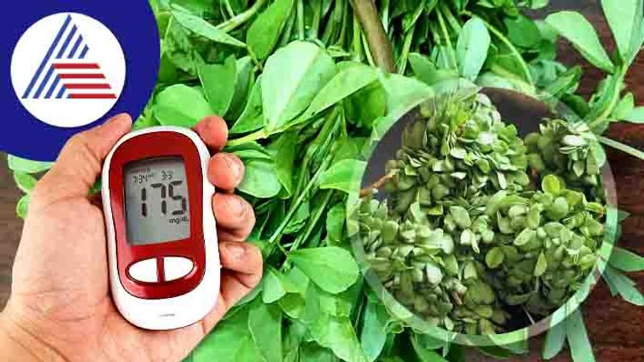 குளிர்காலத்தில் வெந்தயக் கீரையை சாப்பிட்டால் இவ்வளவு நன்மைகளா..!! குளிர்காலத்தில் வெந்தயக் கீரையை சாப்பிட்டால் இவ்வளவு நன்மைகளா..!!