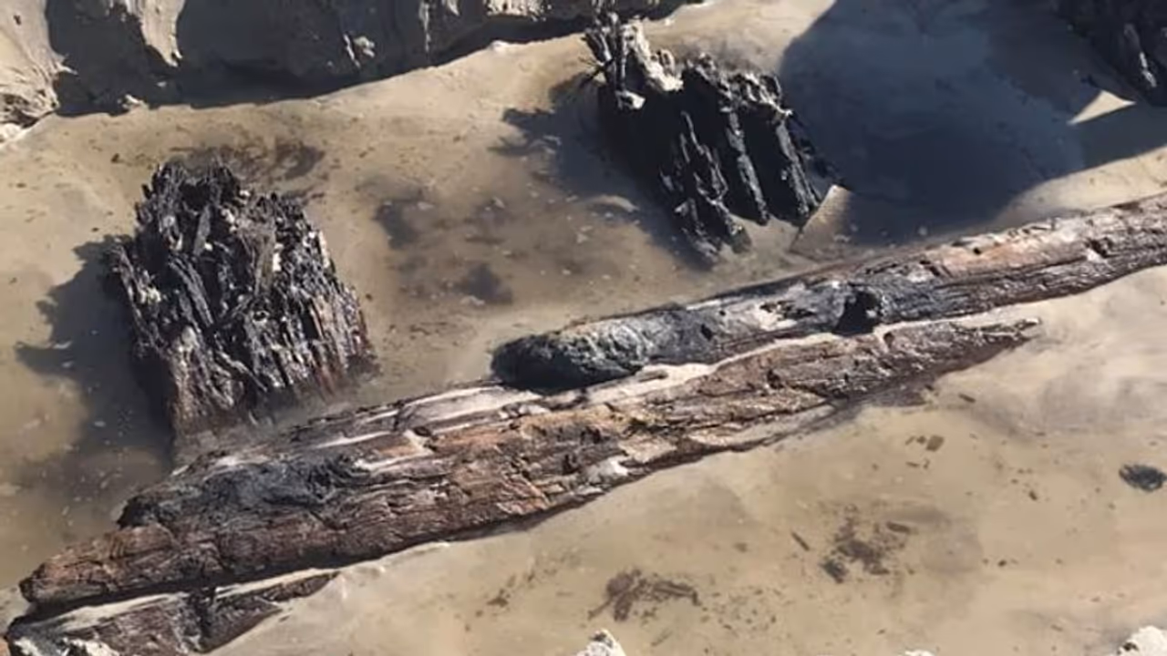 കൊടുങ്കാറ്റിന് പിന്നാലെ തീരത്ത് പ്രത്യക്ഷപ്പെട്ട "അജ്ഞാത വസ്തു" കണ്ട് ഞെട്ടി നാട്ടുകാരും പൊലീസും കൊടുങ്കാറ്റിന് പിന്നാലെ തീരത്ത് പ്രത്യക്ഷപ്പെട്ട "അജ്ഞാത വസ്തു" കണ്ട് ഞെട്ടി നാട്ടുകാരും പൊലീസും