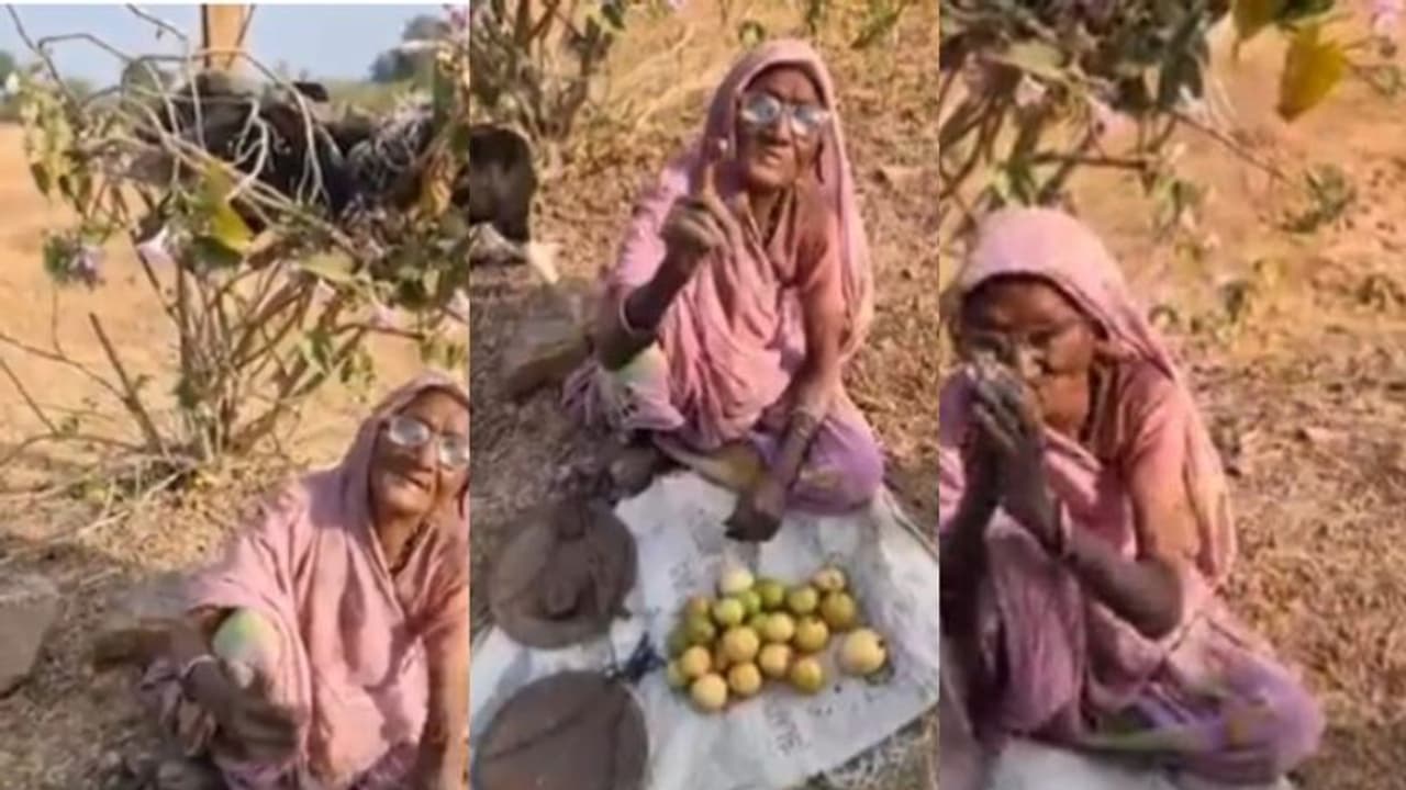 പൊള്ളുന്ന വെയിലില്‍ പേരയ്ക്ക വില്‍ക്കുന്ന മുത്തശ്ശി, സ്നേഹസഹായവുമായി പൊലീസുകാരന്‍; വീഡിയോ