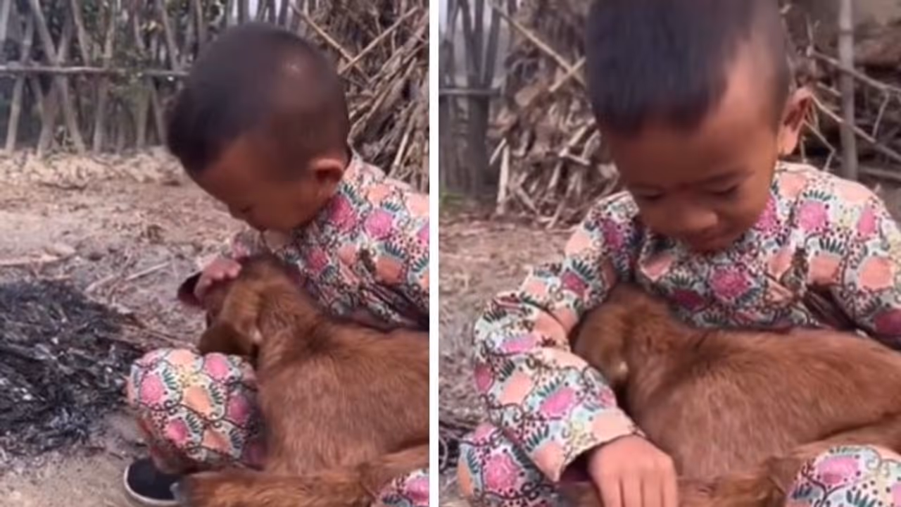 'പകരം വയ്ക്കാനില്ലാത്ത സ്നേഹം'; കുഞ്ഞിന്‍റെ വീഡിയോ വൈറലാകുന്നു