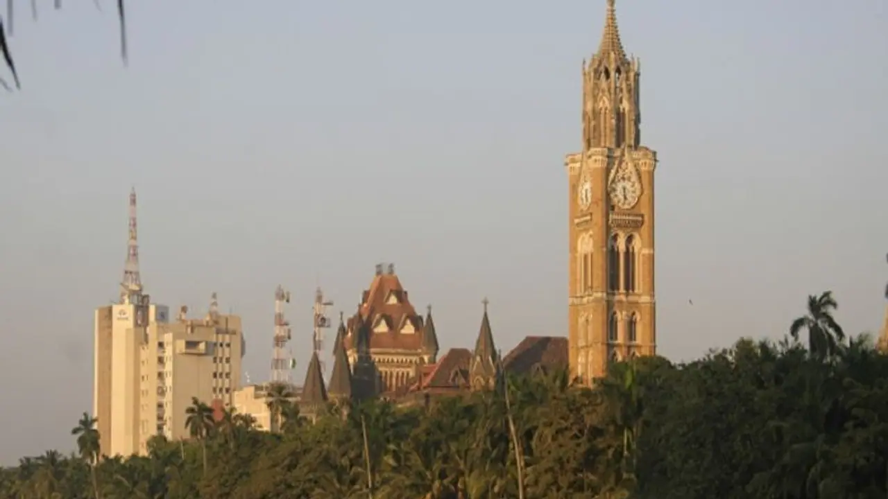 Around 20,000 mangrove trees to be cut for Mumbai Ahmedabad bullet train project; Bombay HC gives go ahead