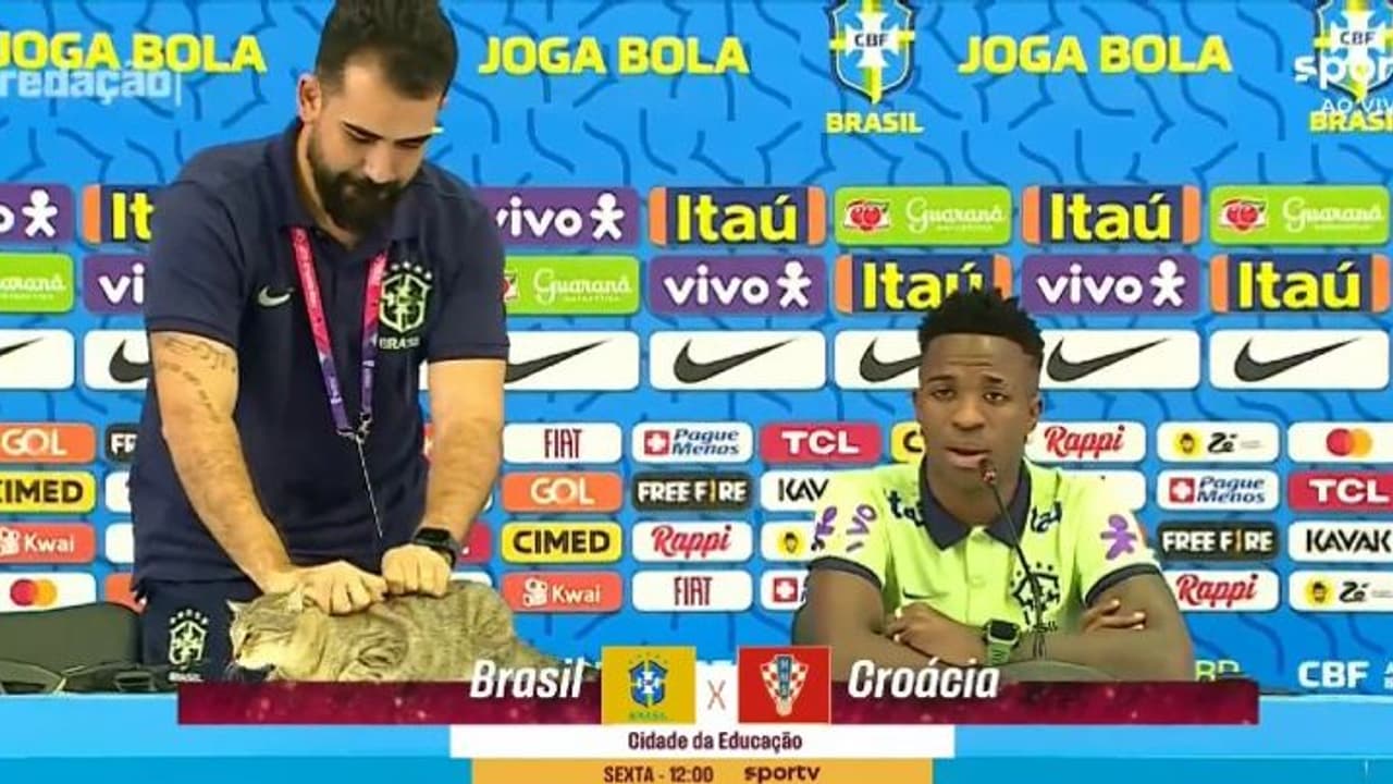 വിനീഷ്യസിന്‍റെ വാര്‍ത്താസമ്മേളനത്തിനിടെ വിളിക്കാത്ത അതിഥിയായി പൂച്ച, വലിച്ചെറിഞ്ഞ് പ്രസ് ഓഫീസര്‍, വിവാദം