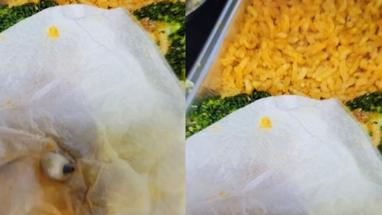 ವಿಮಾನ ನೀಡಿದ ಆಹಾರದಲ್ಲಿ ಸಿಕ್ತು ಹಲ್ಲಿ ಅಲ್ಲ ಹಲ್ಲು..