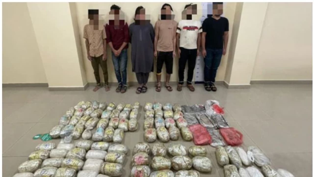 യുഎഇയില് വന് മയക്കുമരുന്ന് വേട്ട; നൂറ് കിലോയിലേറെ ഹാഷിഷും ലഹരിമരുന്നുമായി പ്രവാസികള് പിടിയില് യുഎഇയില് വന് മയക്കുമരുന്ന് വേട്ട; നൂറ് കിലോയിലേറെ ഹാഷിഷും ലഹരിമരുന്നുമായി പ്രവാസികള് പിടിയില്