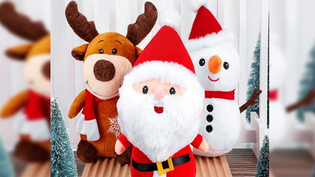 ಮಕ್ಕಳಿಗೆ ಸಿಹಿ ಹಂಚಲು ಹೋದ ಸಾಂತಾಗೆ 6,000 ರೂಪಾಯಿ ಫೈನ್!