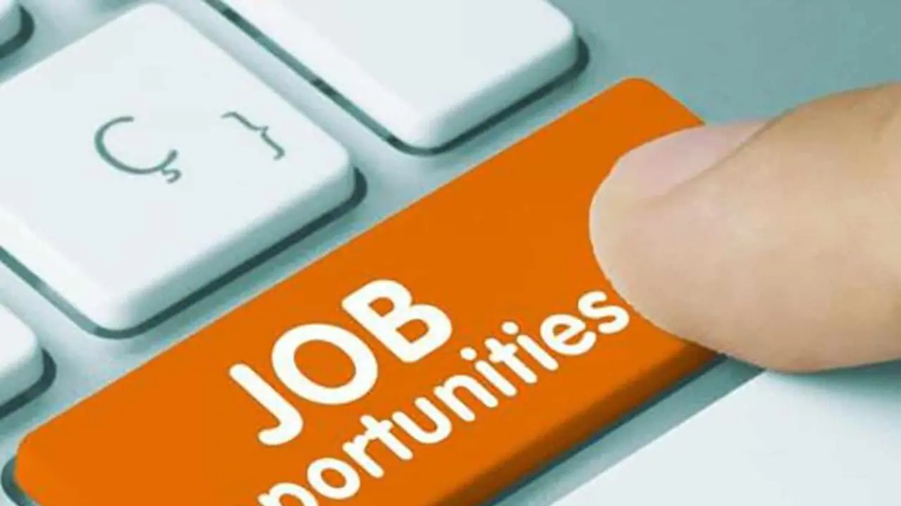 Thousands of unemployed Indian IT professionals scramble for options to stay in the US: Report