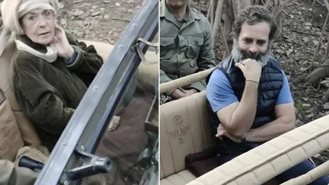 കടുവ സങ്കേതത്തില് ജീപ്പ് സഫാരി ആസ്വദിച്ച് സോണിയയും രാഹുലും; ചിത്രങ്ങള് വൈറല് കടുവ സങ്കേതത്തില് ജീപ്പ് സഫാരി ആസ്വദിച്ച് സോണിയയും രാഹുലും; ചിത്രങ്ങള് വൈറല്