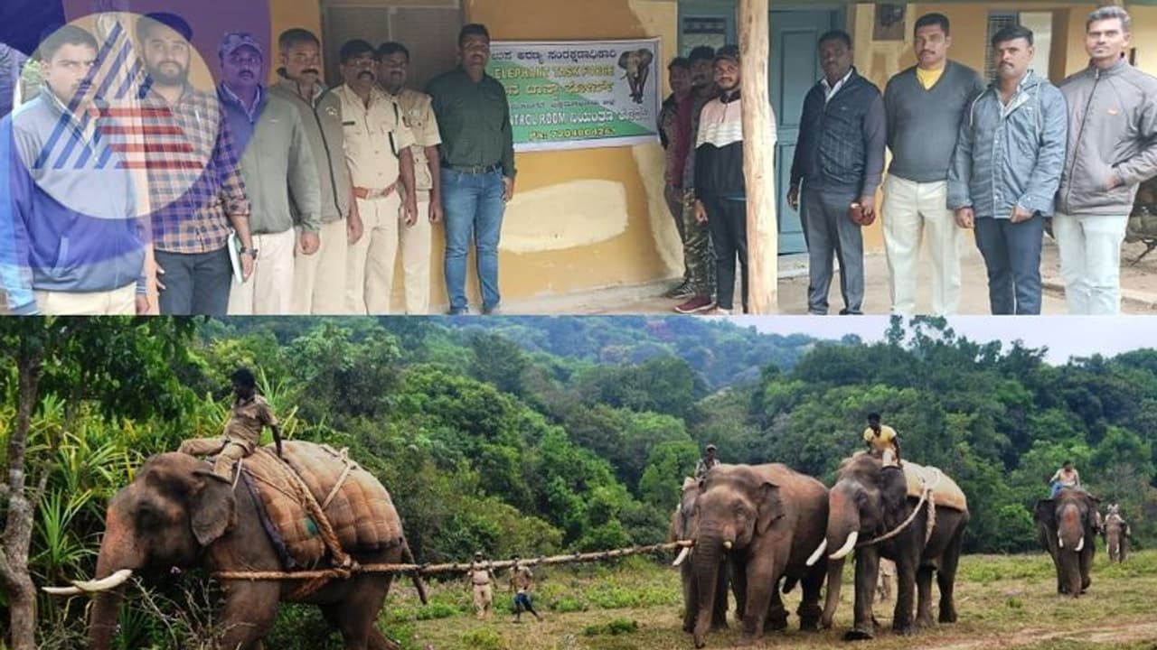 Elephant Taskforce: ಮೂಡಿಗೆರೆಯಲ್ಲಿ ಆನೆ ಟಾಸ್ಕ್ ಫೋರ್ಸ್ ರಚನೆ: ಸಹಾಯವಾಣಿ ಆರಂಭ