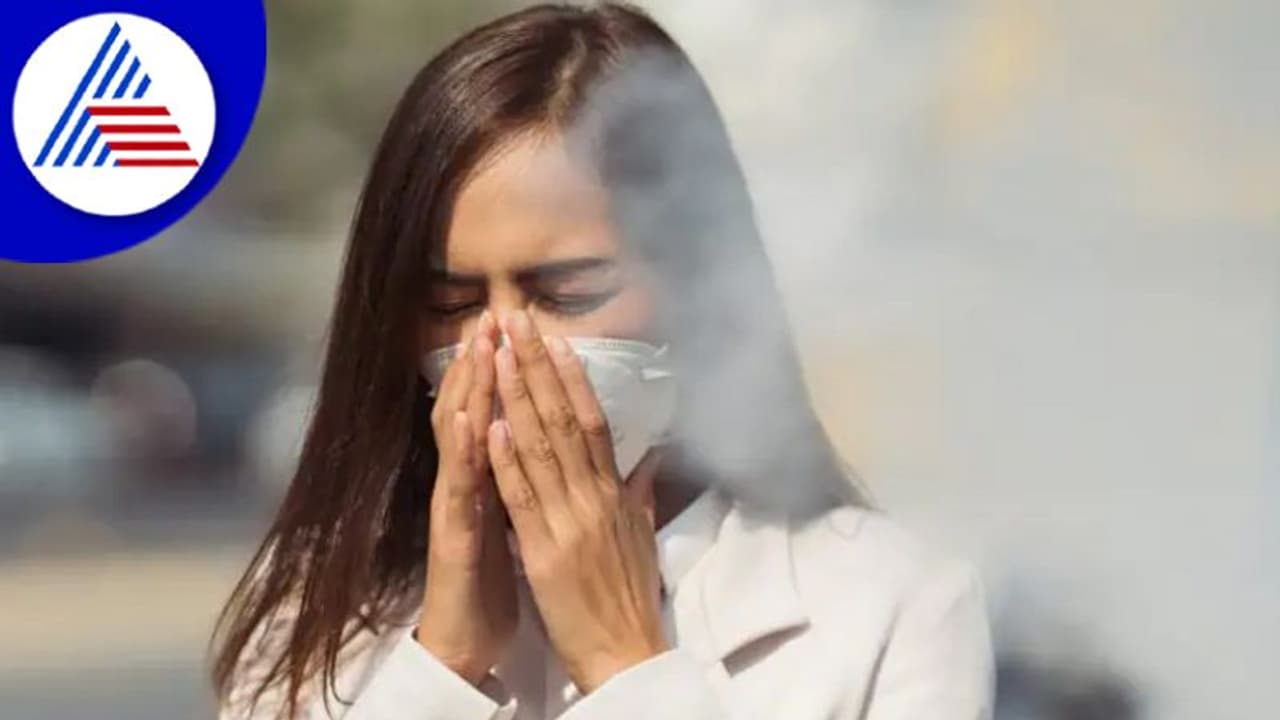Winter Smog: ಶ್ವಾಸಕೋಶದ ಆರೋಗ್ಯಕ್ಕೆ ಹೆಚ್ಚು ಮಾರಕ, ಸೇಫ್ ಆಗಿರೋದು ಹೇಗೆ ?