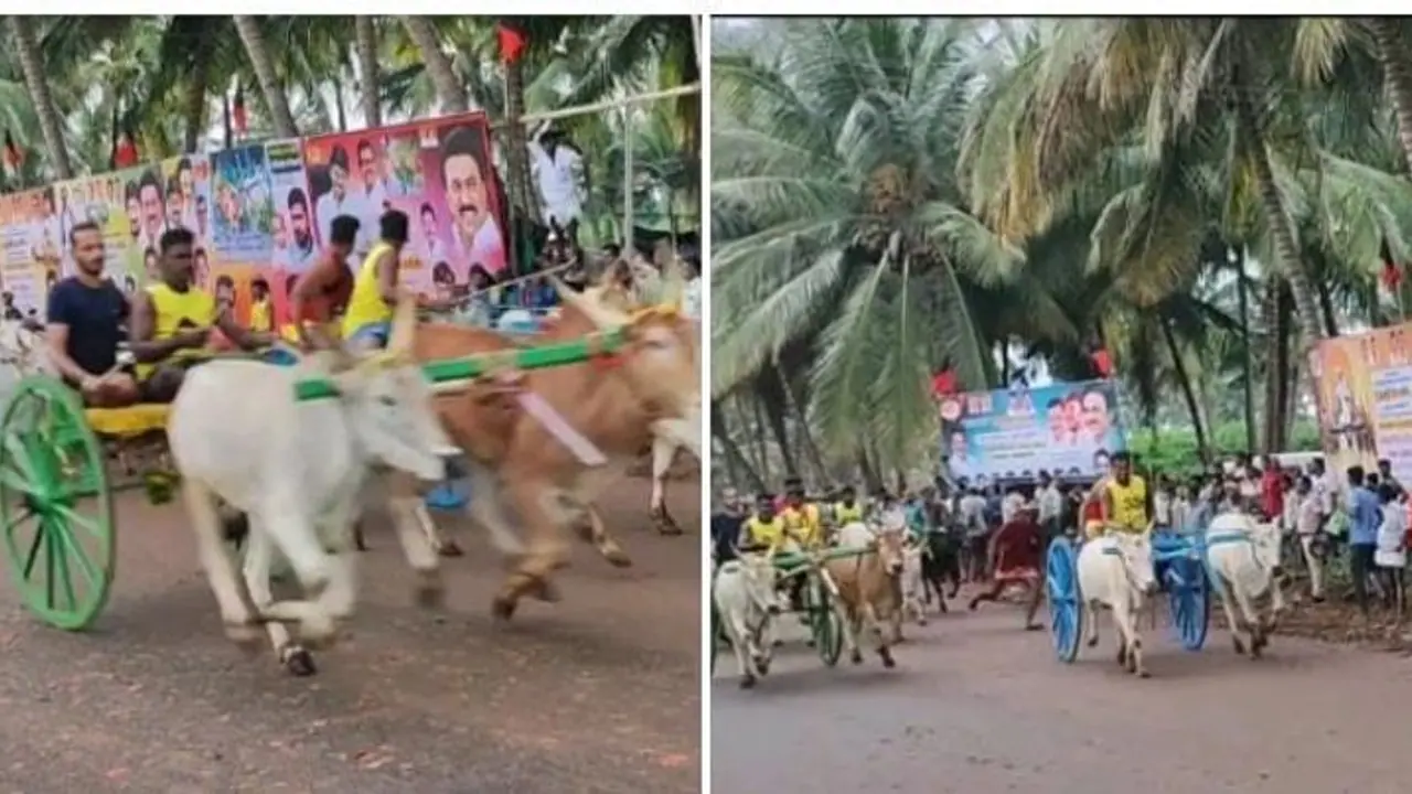 இரட்டை மாட்டு வண்டி போட்டி..! சீறிப்பாய்ந்த மாடுகள்..! உற்சாகமடைந்த பொதுமக்கள்