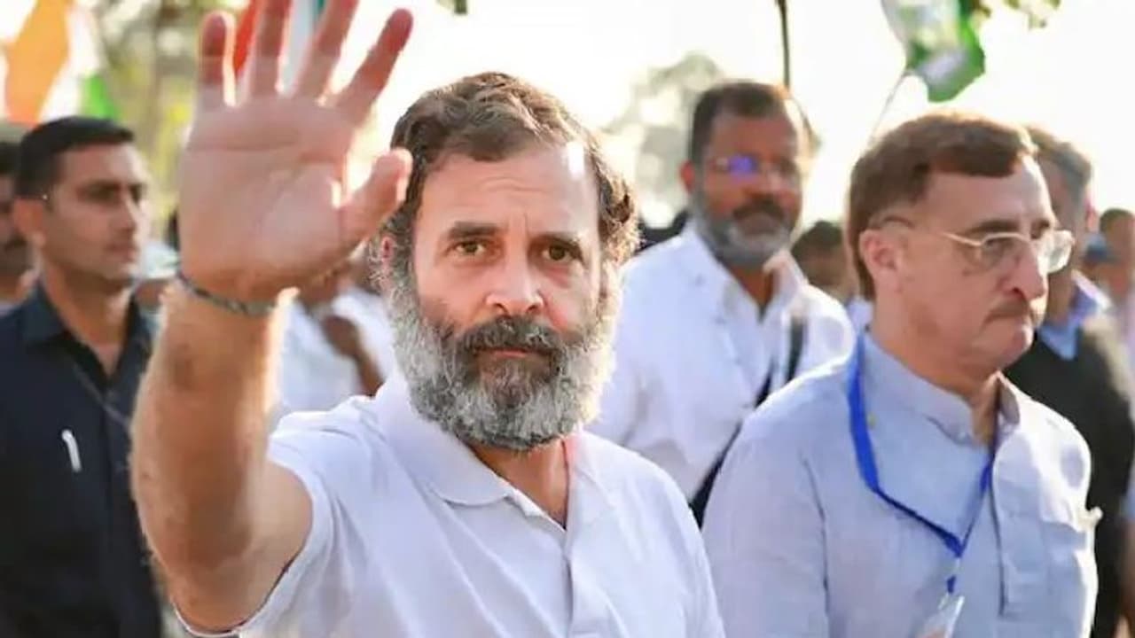  आखिर राजस्थान में यात्रा के बीच चार्टर प्लेन से शिमला क्यों गए राहुल गांधी, क्या है वजह...जानिए पूरी डिटेल