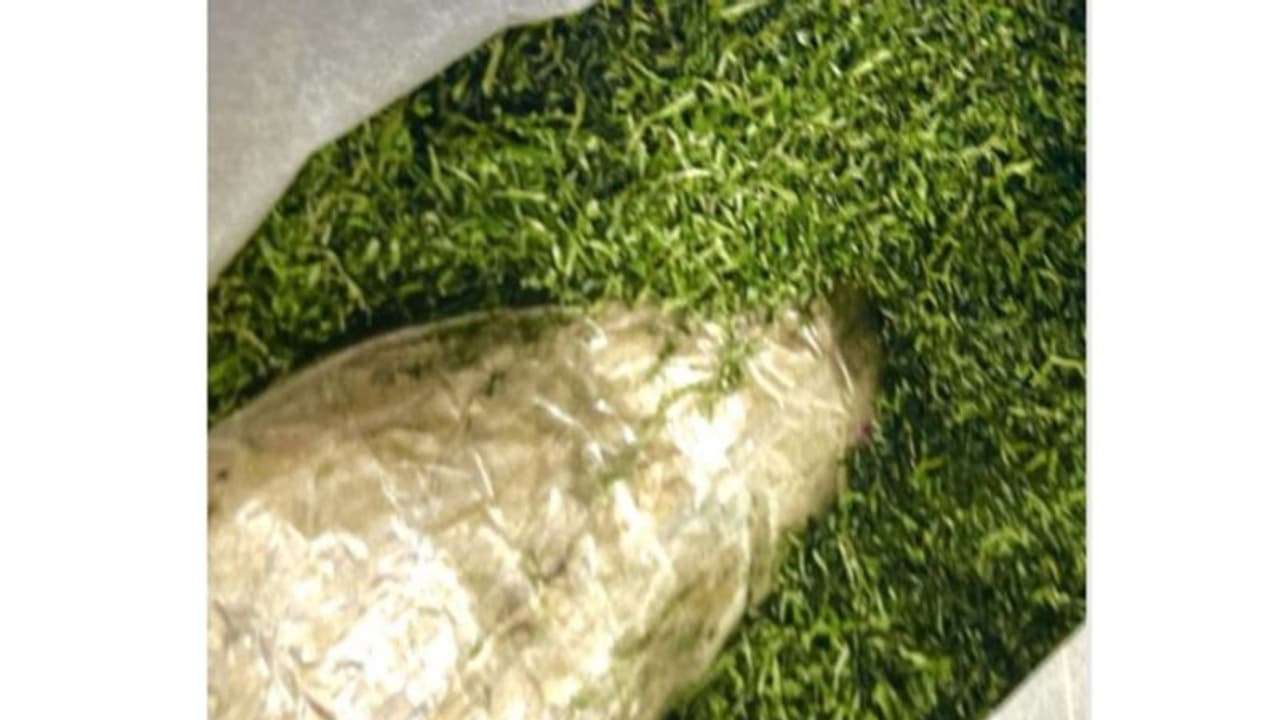 ലഗേജില്‍ കഞ്ചാവുമായി വിമാനത്താവളത്തില്‍ പിടിയിലായ പ്രവാസി യുവതിക്ക് 15 വര്‍ഷം തടവ്