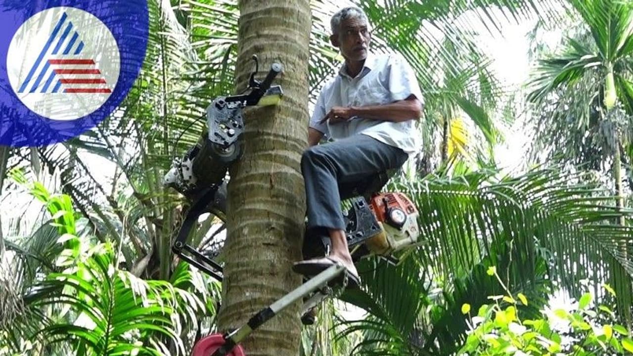 ಅಡಕೆ ಮರ ಬಳಿಕ ಈಗ ತೆಂಗಿನ ಮರ ಏರುವ ಟ್ರೀ ಬೈಕ್‌ ಅಭಿವೃದ್ಧಿ