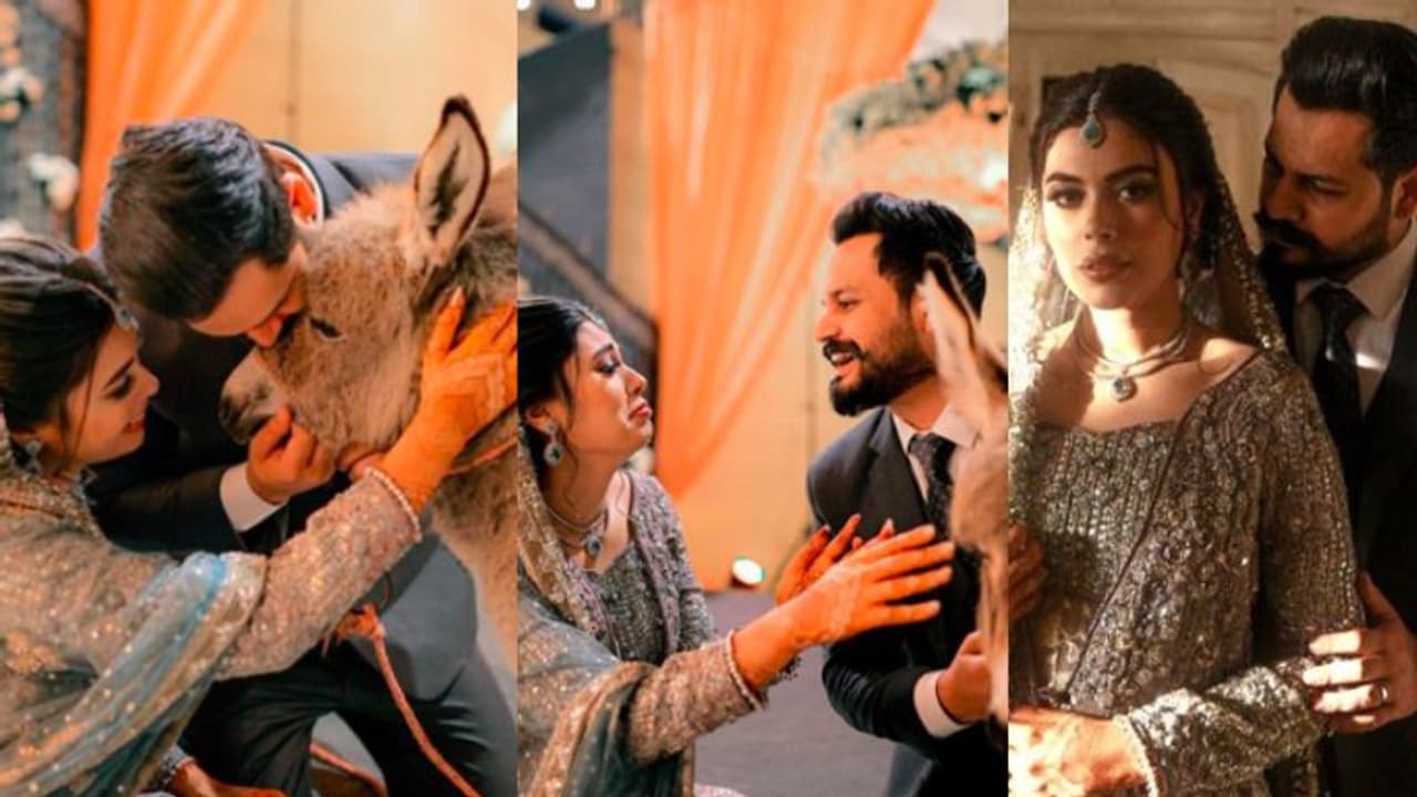 വധുവിന് കഴുതക്കുട്ടിയെ സമ്മാനിച്ച് വരൻ; വിമർശനവുമായി സോഷ്യല്‍ മീഡിയ 