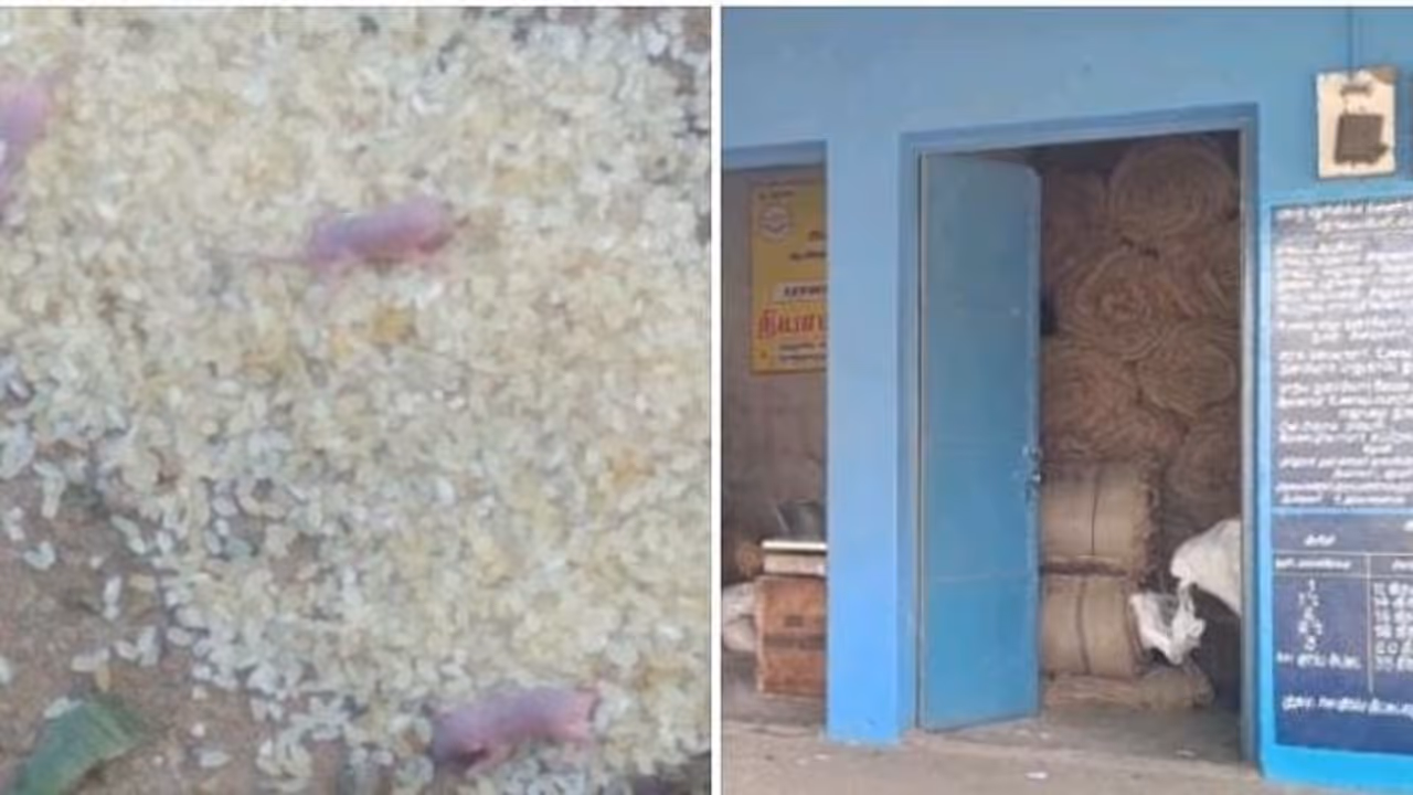 ரேஷன் அரிசியில் உயிருடன் இருந்த எலிக்குஞ்சுகள்..! அதிர்ச்சி அடைந்த கிராம மக்கள் ரேஷன் அரிசியில் உயிருடன் இருந்த எலிக்குஞ்சுகள்..! அதிர்ச்சி அடைந்த கிராம மக்கள்