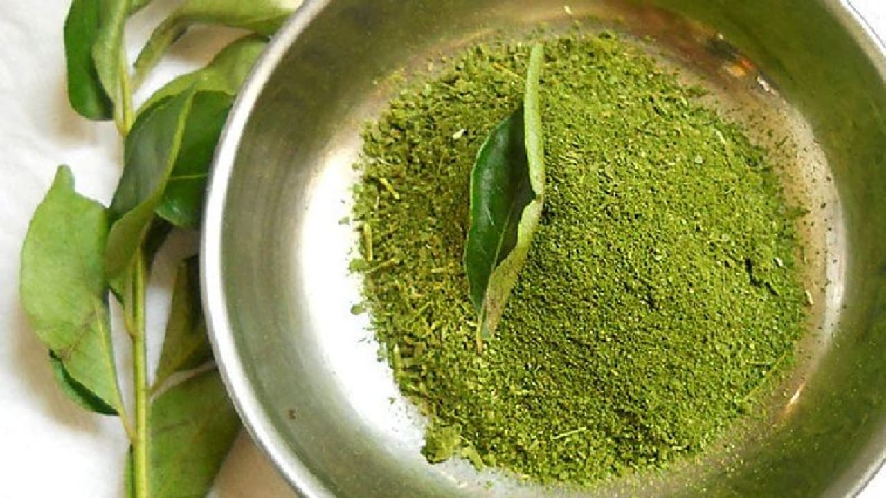 Curry leaves powder : சத்தான கறிவேப்பிலை பொடியை எளிமையாக செய்யலாம் வாங்க!