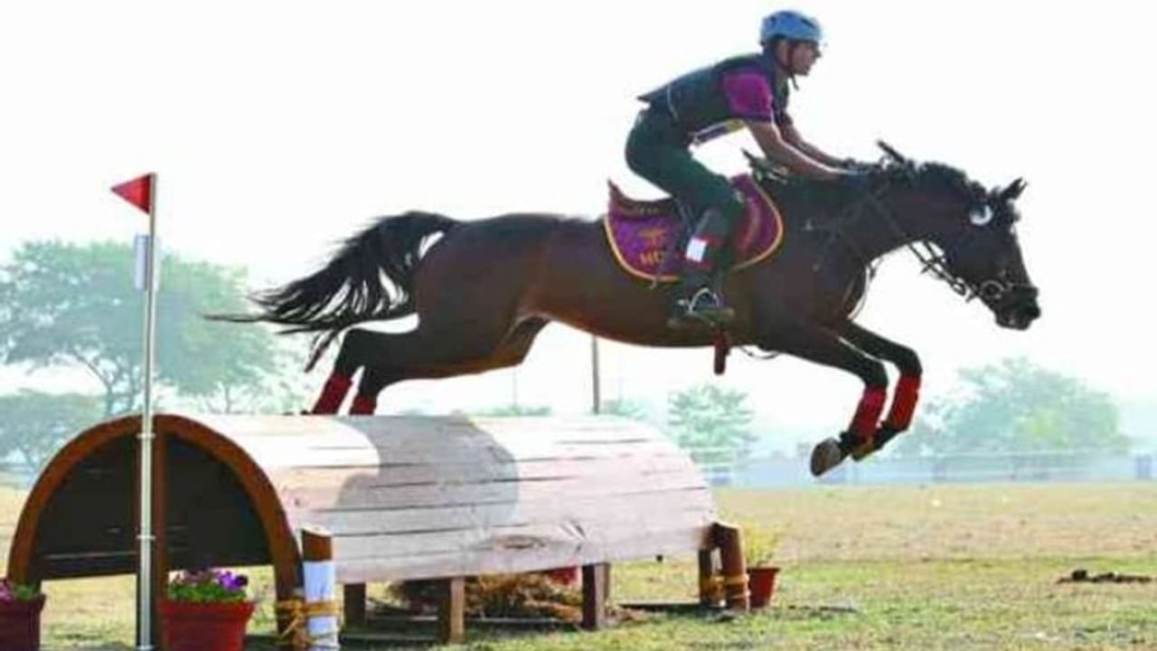 10 लग्जरी कारों से भी महंगा है ये घोड़ा: हवा से भी ज्यादा तेज दौड़ता!, 50 हजार हर महीने देखरेख पर होते खर्च 10 लग्जरी कारों से भी महंगा है ये घोड़ा: हवा से भी ज्यादा तेज दौड़ता!, 50 हजार हर महीने देखरेख पर होते खर्च