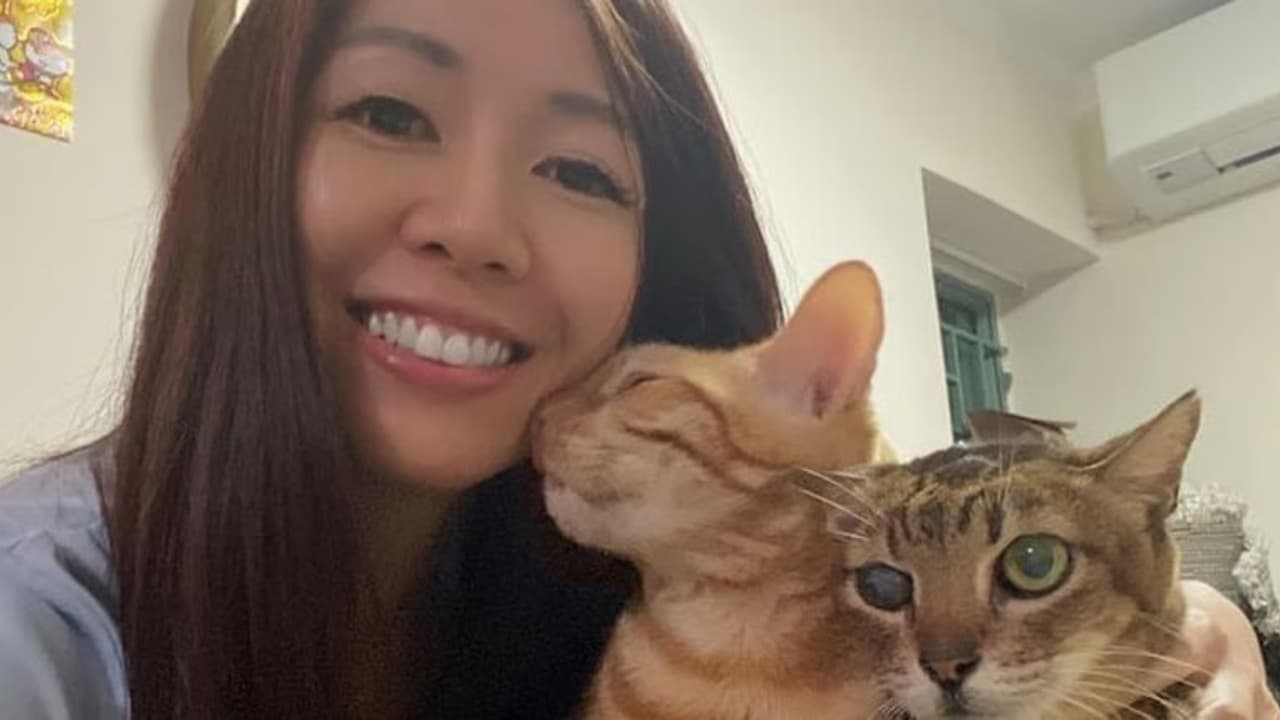 കാന്‍സര്‍ മറികടക്കാന്‍ സഹായിച്ചത് പൂച്ചക്കുട്ടികള്‍, അസാധാരണമായ അതിജീവനകഥ! 