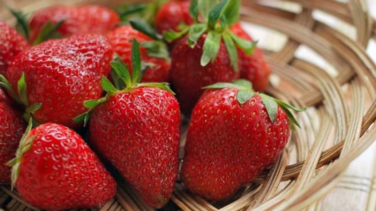 ചര്മ്മം കണ്ടാല് പ്രായം തോന്നിക്കുന്നുണ്ടോ? മഞ്ഞുകാലത്ത് ഡയറ്റില് ഉള്പ്പെടുത്താം ഈ ഭക്ഷണങ്ങള്... ചര്മ്മം കണ്ടാല് പ്രായം തോന്നിക്കുന്നുണ്ടോ? മഞ്ഞുകാലത്ത് ഡയറ്റില് ഉള്പ്പെടുത്താം ഈ ഭക്ഷണങ്ങള്...