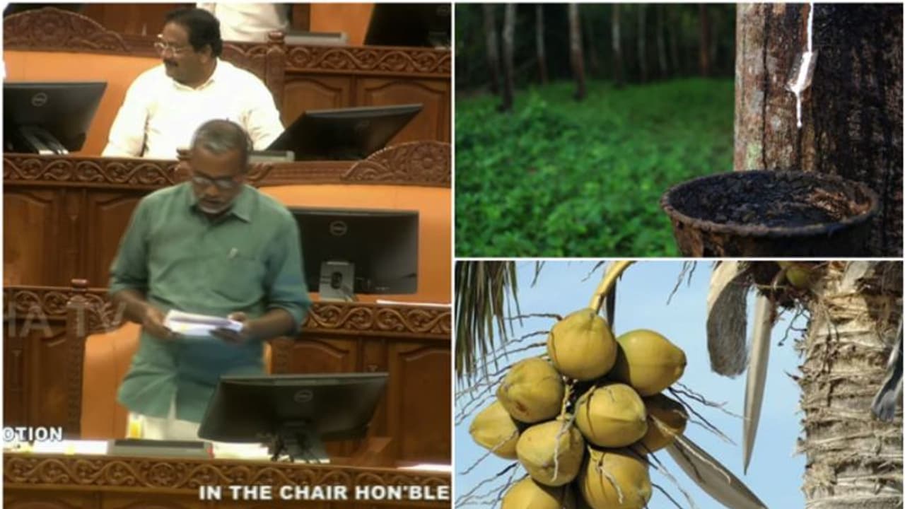 'കാര്ഷികോല്പ്പന്നങ്ങളുടെ വിലത്തകർച്ചക്ക് പ്രധാന കാരണം കേന്ദ്ര നയം, പിന്നെ കാലാവസ്ഥ'; കൃഷിമന്ത്രി പി പ്രസാദ് 'കാര്ഷികോല്പ്പന്നങ്ങളുടെ വിലത്തകർച്ചക്ക് പ്രധാന കാരണം കേന്ദ്ര നയം, പിന്നെ കാലാവസ്ഥ'; കൃഷിമന്ത്രി പി പ്രസാദ്