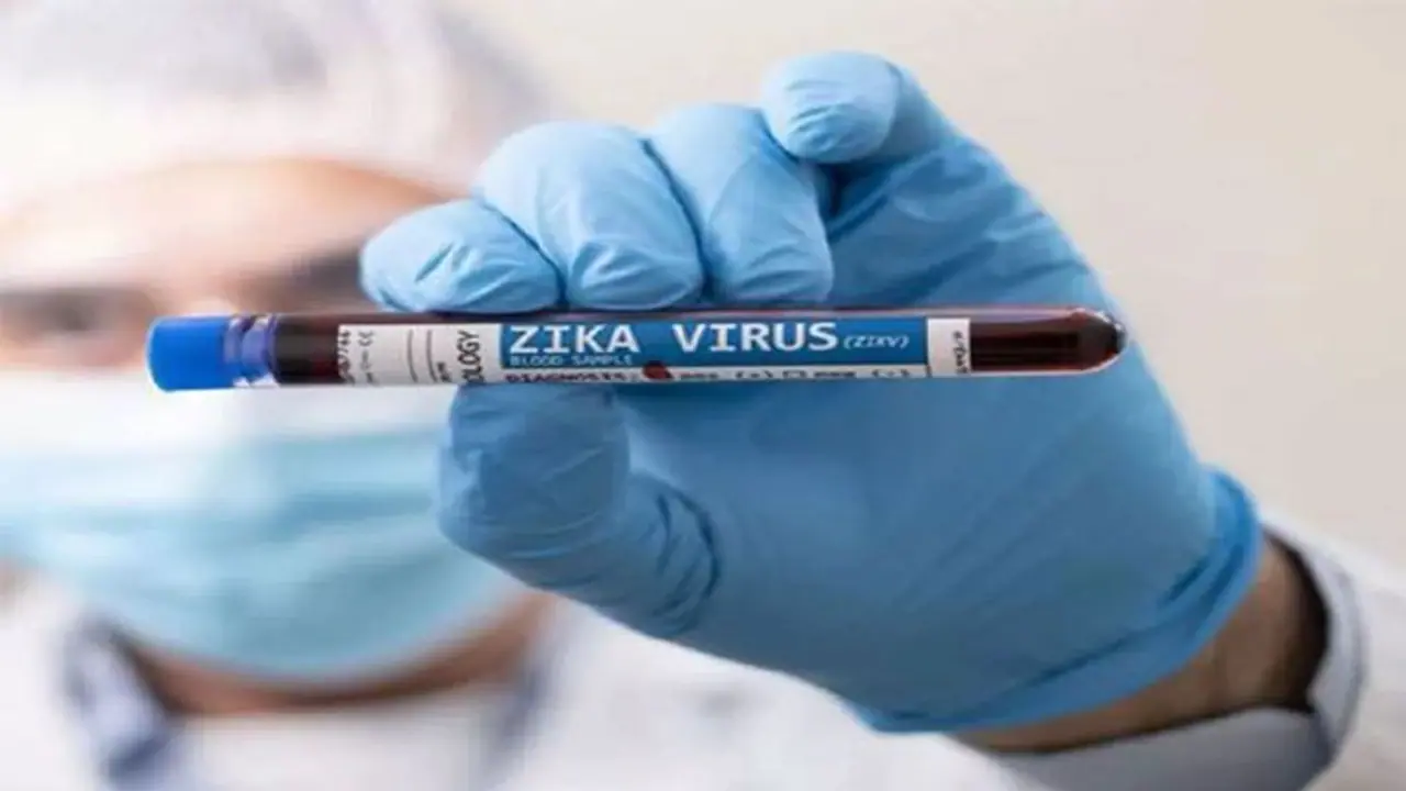 'Screen pregnant women': Centre issues advisory as Zika virus cases rise in Maharashtra