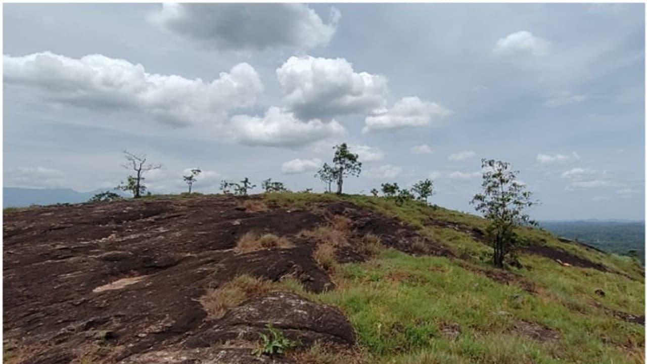 കാത്തിരിപ്പിന് അവസാനം: മങ്ങാട്ടുപാറ ജല് ജീവന് പദ്ധതിയ്ക്ക് ജീവന് വെയ്ക്കുന്നു കാത്തിരിപ്പിന് അവസാനം: മങ്ങാട്ടുപാറ ജല് ജീവന് പദ്ധതിയ്ക്ക് ജീവന് വെയ്ക്കുന്നു