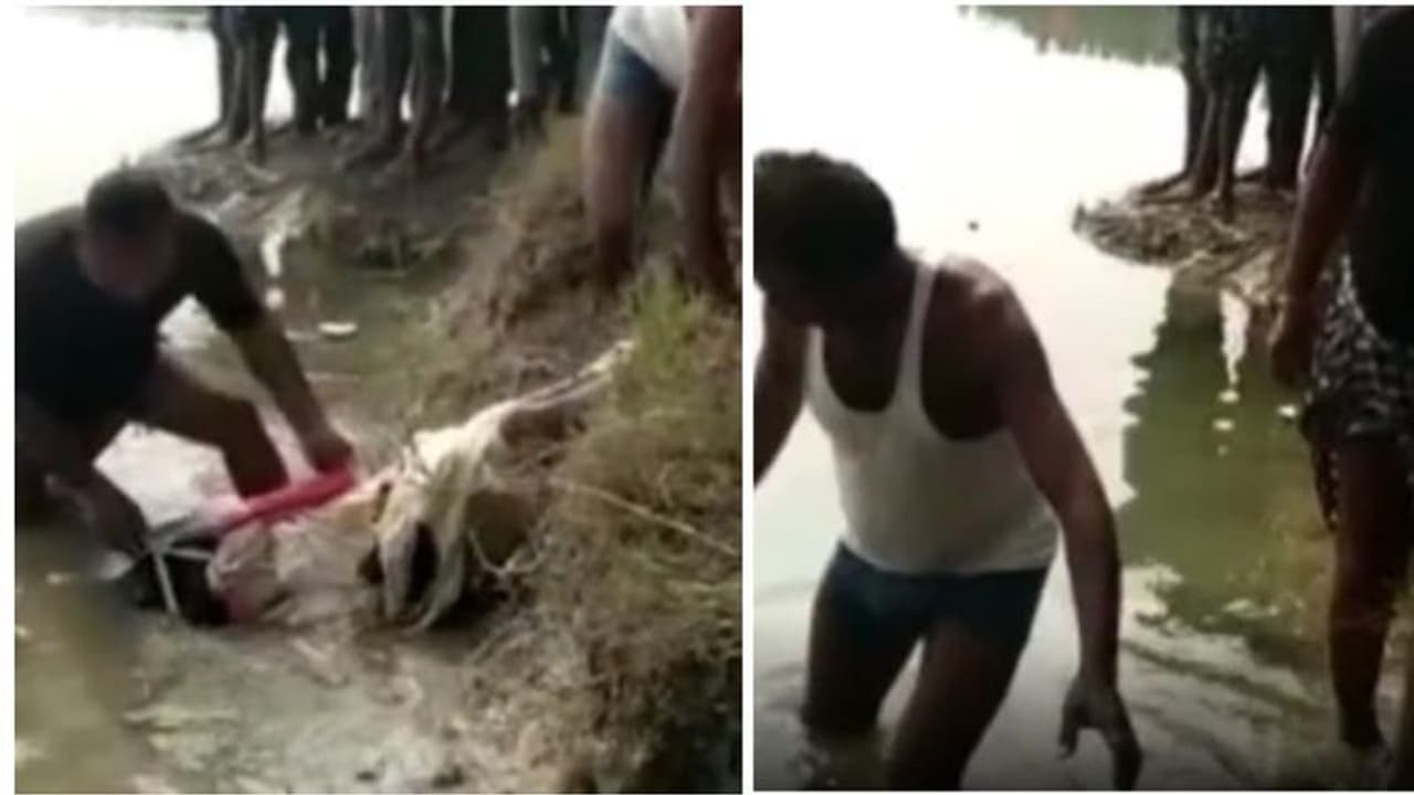 यमुना से मिली पालीथीन में पैक अज्ञात युवक की लाश, पुलिस ने शव को निकाला तो देख कर चौंकी गायब थे ये अंग यमुना से मिली पालीथीन में पैक अज्ञात युवक की लाश, पुलिस ने शव को निकाला तो देख कर चौंकी गायब थे ये अंग