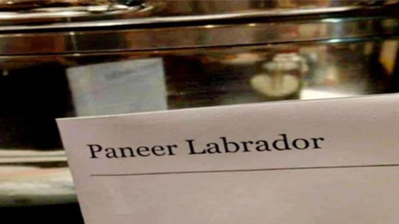 ये कौन सी डिश सर्व करने लग गया रेस्टोरेंट? नाम देखकर हंसी नहीं रोक पा रहे लोग ये कौन सी डिश सर्व करने लग गया रेस्टोरेंट? नाम देखकर हंसी नहीं रोक पा रहे लोग