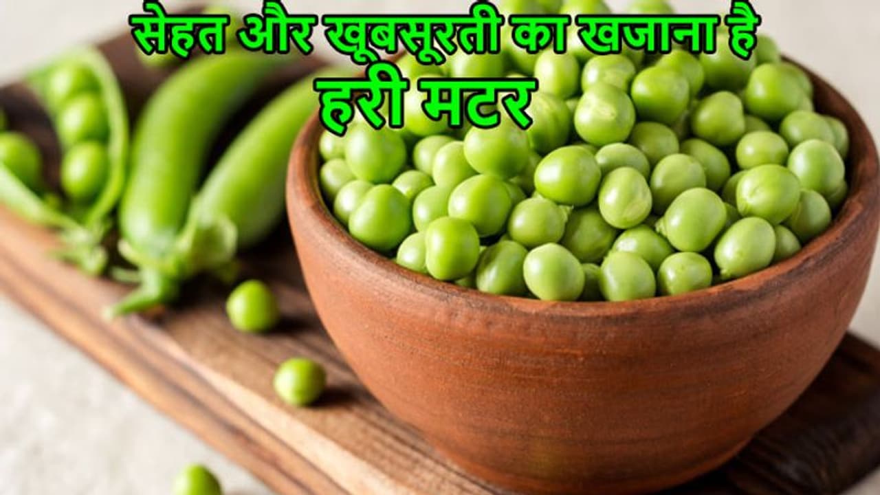 सर्दी के मौसम में हरी मटर ना सिर्फ बढ़ाता है स्वाद, सेहत का रखता है ख्याल और चेहरे पर लाता है निखार सर्दी के मौसम में हरी मटर ना सिर्फ बढ़ाता है स्वाद, सेहत का रखता है ख्याल और चेहरे पर लाता है निखार