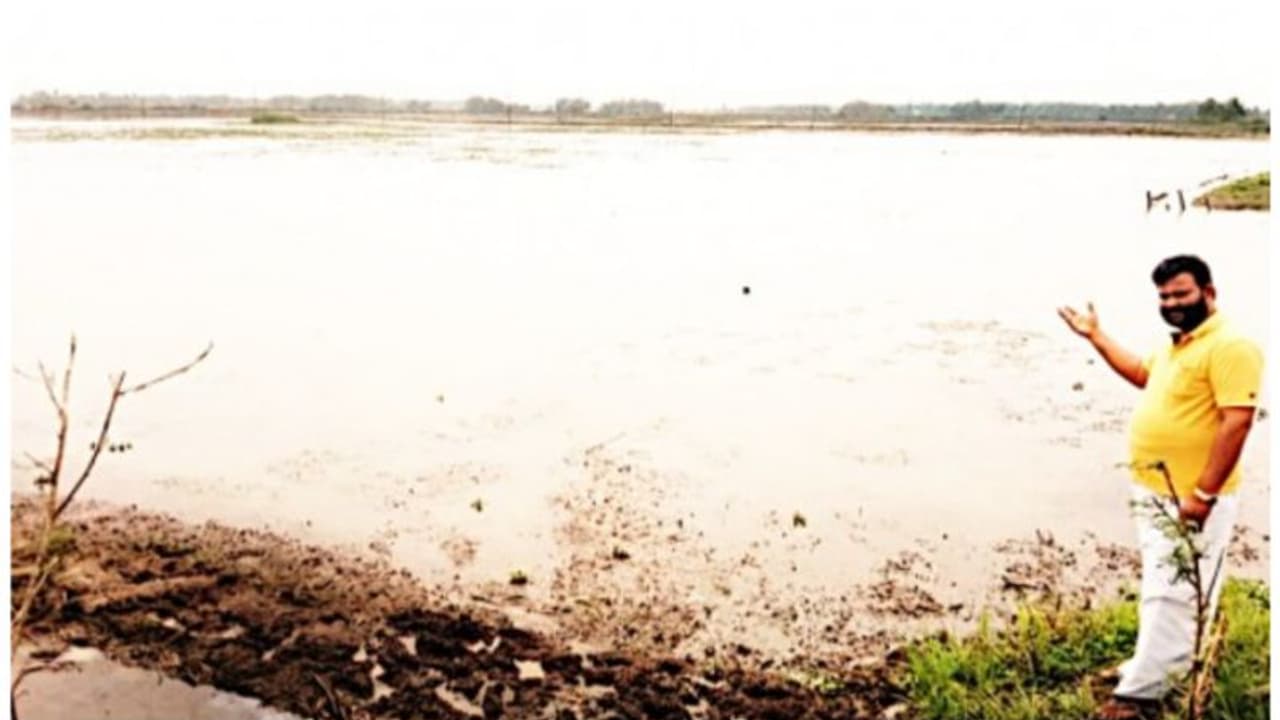 കണ്ണീരോടെ കർഷകർ; അപ്രതീക്ഷിത മഴയിൽ പാടങ്ങൾ വെള്ളക്കെട്ടിൽ, നെൽകൃഷി നശിച്ചു കണ്ണീരോടെ കർഷകർ; അപ്രതീക്ഷിത മഴയിൽ പാടങ്ങൾ വെള്ളക്കെട്ടിൽ, നെൽകൃഷി നശിച്ചു