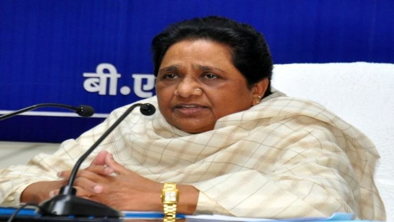 आंदोलन कर रहे व्यापारियों के समर्थन में बोलीं मायावती, कहा GST कलेक्शन बढ़ने पर खुश हो रही सरकार आंदोलन कर रहे व्यापारियों के समर्थन में बोलीं मायावती, कहा GST कलेक्शन बढ़ने पर खुश हो रही सरकार