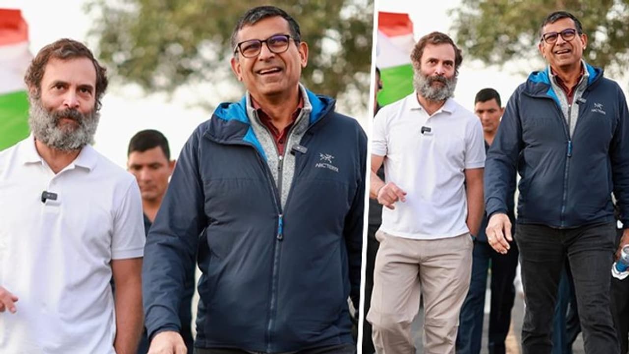 'Next Manmohan Singh': BJP slams Raghuram Rajan for joining Rahul Gandhi's Bharat Jodo Yatra