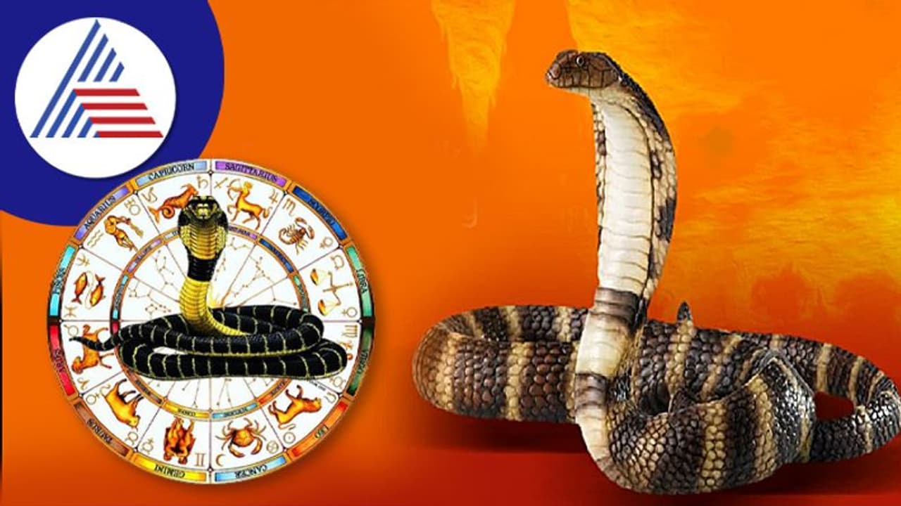 ಕಾಳ ಸರ್ಪ ದೋಷ ಜಾತಕದಲ್ಲಿದ್ದರೆ ಯಾವೆಲ್ಲ ತೊಂದರೆ ಎದುರಾಗುತ್ತದೆ? ಕಾಳ ಸರ್ಪ ದೋಷ ಜಾತಕದಲ್ಲಿದ್ದರೆ ಯಾವೆಲ್ಲ ತೊಂದರೆ ಎದುರಾಗುತ್ತದೆ?