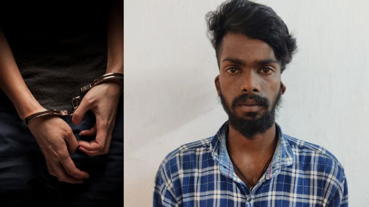 പ്ലസ് ടു വിദ്യാർഥിനിയെ തട്ടിക്കൊണ്ടുപോയി പീഡിപ്പിച്ചു: പോക്സോ കേസിൽ യുവാവ് പിടിയില്‍