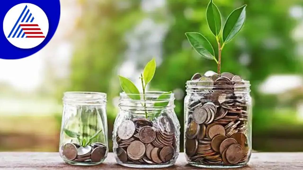 Money Saving Tips: ಹೂಡಿಕೆ ಮಾಡುವ ಮುನ್ನ ಮಹಿಳೆಯರು ಈ ಸಂಗತಿ ತಿಳಿದಿರ್ಬೇಕು 