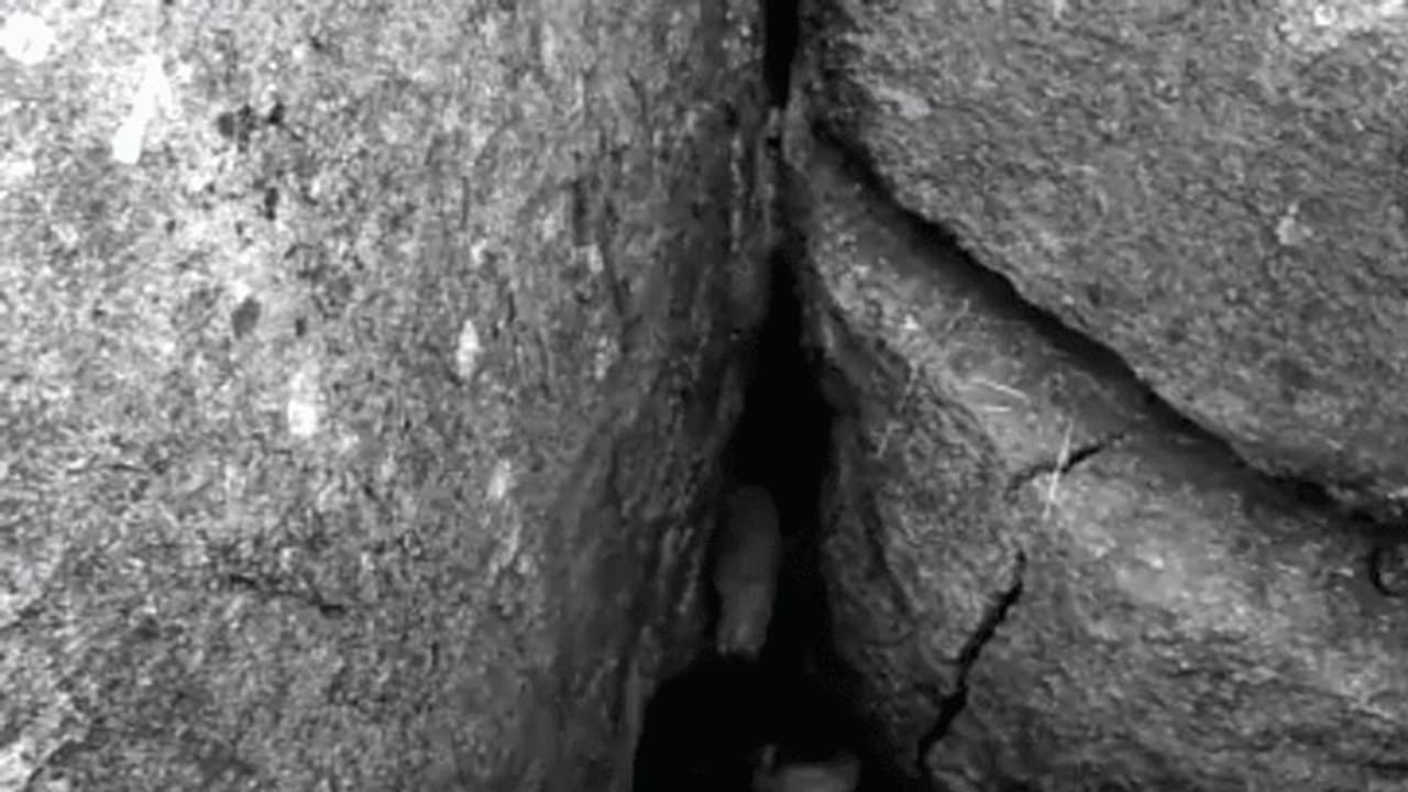 కామారెడ్డి జిల్లాలో బండరాళ్ల నుంచి క్షేమంగా బయటపడ్డ రాజు.. ఆస్పత్రికి తరలింపు.. కామారెడ్డి జిల్లాలో బండరాళ్ల నుంచి క్షేమంగా బయటపడ్డ రాజు.. ఆస్పత్రికి తరలింపు..