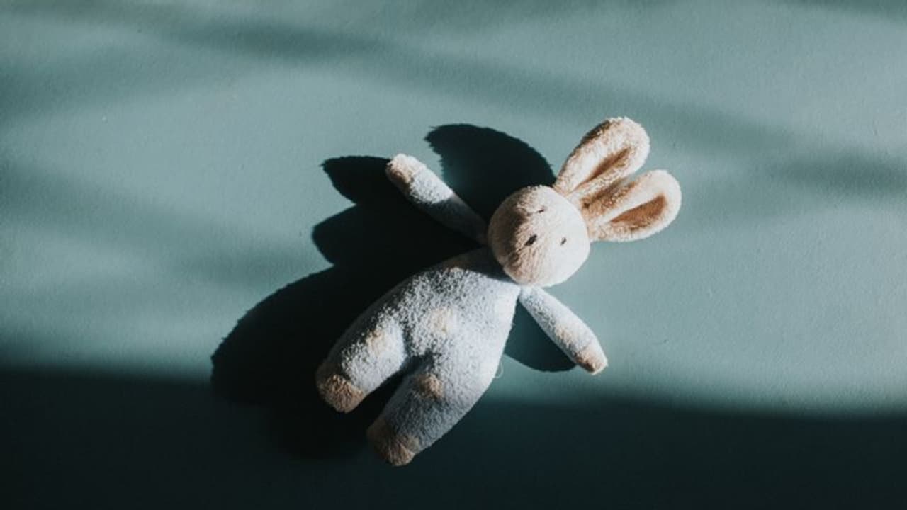 വീടിനടുത്ത കടയിൽ സോപ്പ് മേടിക്കാൻ പോയ 5 വയസുകാരിക്ക് പീഡനം, 40 കാരന് 20 വർഷം തടവും പിഴയും ശിക്ഷ വീടിനടുത്ത കടയിൽ സോപ്പ് മേടിക്കാൻ പോയ 5 വയസുകാരിക്ക് പീഡനം, 40 കാരന് 20 വർഷം തടവും പിഴയും ശിക്ഷ