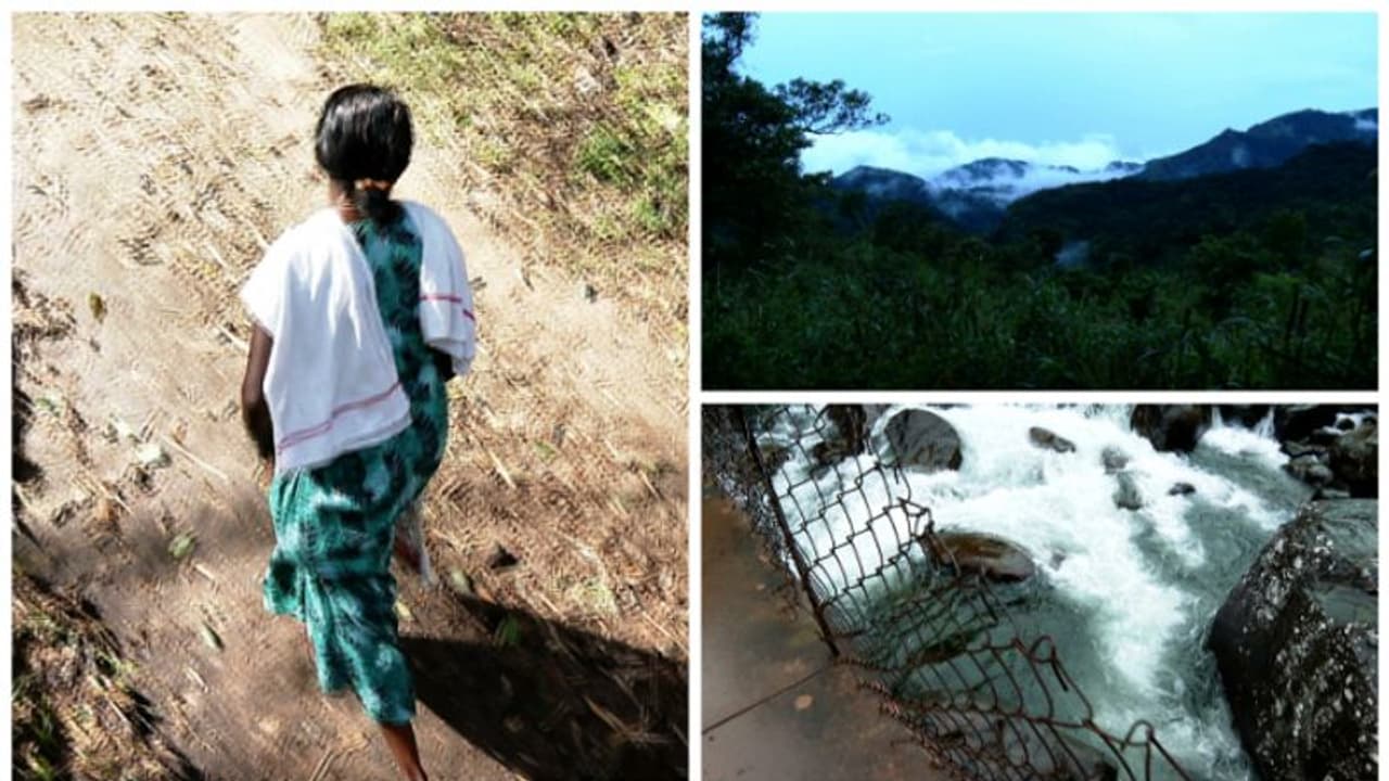 അട്ടപ്പാടി ഊരുകളിലേക്കുള്ള യാത്രാപ്രശ്നം; റോഡ് നി‍ർമിക്കാൻ കേന്ദ്രാനുമതി വേണമെന്ന് വിശദീകരണം