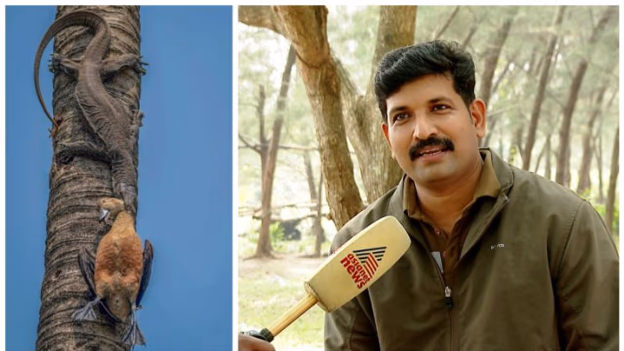 കാക്കിക്കുള്ളിലെ ഫോട്ടോഗ്രാഫർ; വൈൽഡ് ലൈഫ് ഫോട്ടോഗ്രഫിയിൽ തിളങ്ങി പൊലീസ് ഓഫീസർ രതീഷ് രാജൻ കാക്കിക്കുള്ളിലെ ഫോട്ടോഗ്രാഫർ; വൈൽഡ് ലൈഫ് ഫോട്ടോഗ്രഫിയിൽ തിളങ്ങി പൊലീസ് ഓഫീസർ രതീഷ് രാജൻ