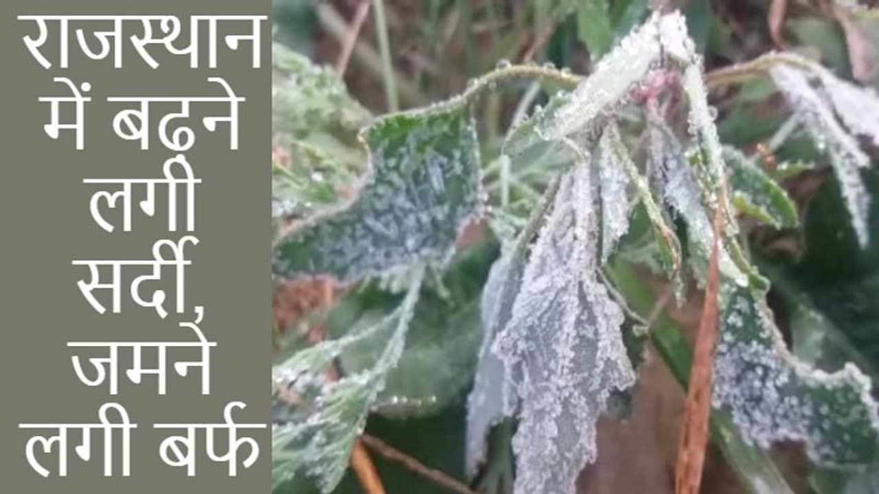 राजस्थान वेदर अपडेट: प्रदेश में देर आई पर दुरुस्त आई सर्दी, जमाव बिंदु पर दर्ज हुआ पारा, किसानों की बढ़ी फिक्र राजस्थान वेदर अपडेट: प्रदेश में देर आई पर दुरुस्त आई सर्दी, जमाव बिंदु पर दर्ज हुआ पारा, किसानों की बढ़ी फिक्र