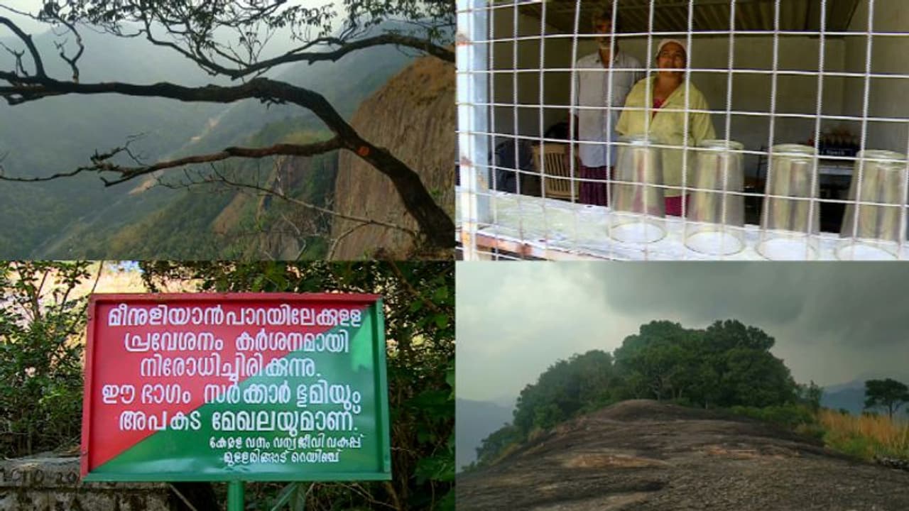 മീനുളിയാംപാറ അടച്ചുപൂട്ടിയിട്ട് 9 മാസം; ഉപജീവനം മുട്ടി പ്രദേശവാസികൾ; തുറക്കണമെന്ന് പഞ്ചായത്തുകൾ