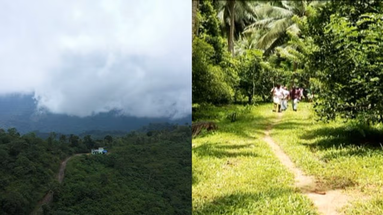 ബഫർസോൺ: വിദഗ്ദ സമിതിയുടെ കാലാവധി 2 മാസം കൂടി നീട്ടി ഉത്തരവിറക്കും, താമരശ്ശേരി രൂപതയുടെ ജനജാഗ്രതാ യാത്ര നാളെ