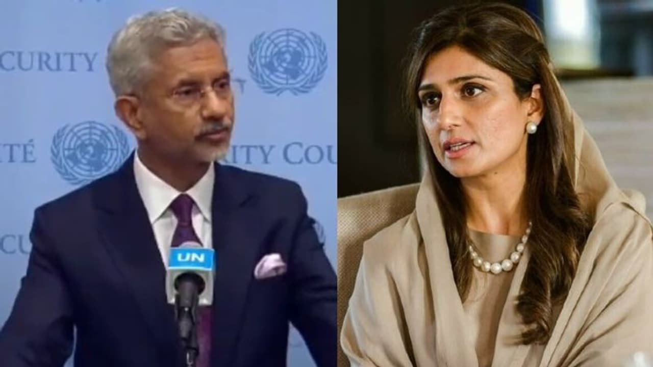 'घर के पिछवाड़े में सांप पालोगे तो जरूरी नहीं कि सिर्फ पड़ोसियों को डसेगा...'विदेश मंत्री का पाकिस्तान को जवाब 'घर के पिछवाड़े में सांप पालोगे तो जरूरी नहीं कि सिर्फ पड़ोसियों को डसेगा...'विदेश मंत्री का पाकिस्तान को जवाब