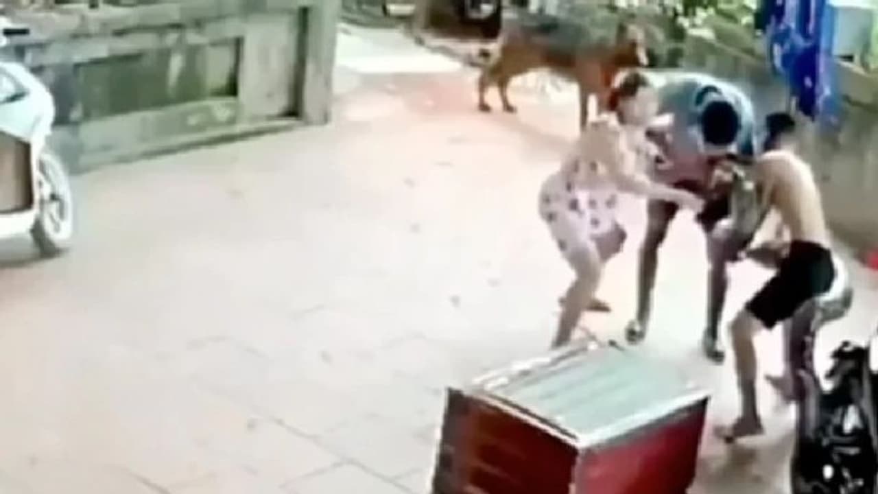 ചുറ്റിവരിഞ്ഞ് പെരുമ്പാമ്പ്, മുഖത്ത് കടിച്ച ശേഷം പിടി വിടാതെ ഏറെ നേരം; ഭയപ്പെടുത്തുന്ന വീഡിയോ