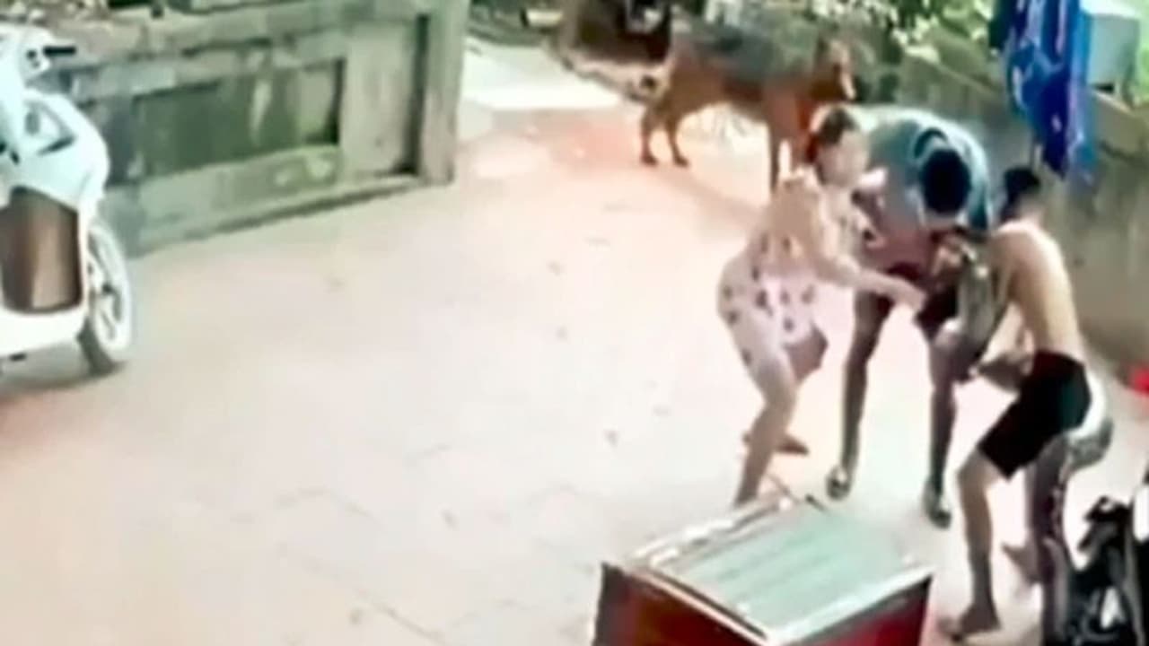 रोंगटे खड़े कर देगा Video : बंद डिब्बे को निहार रहा था शख्स, तभी हुआ कुछ ऐसा कि अटक गईं सांस रोंगटे खड़े कर देगा Video : बंद डिब्बे को निहार रहा था शख्स, तभी हुआ कुछ ऐसा कि अटक गईं सांस