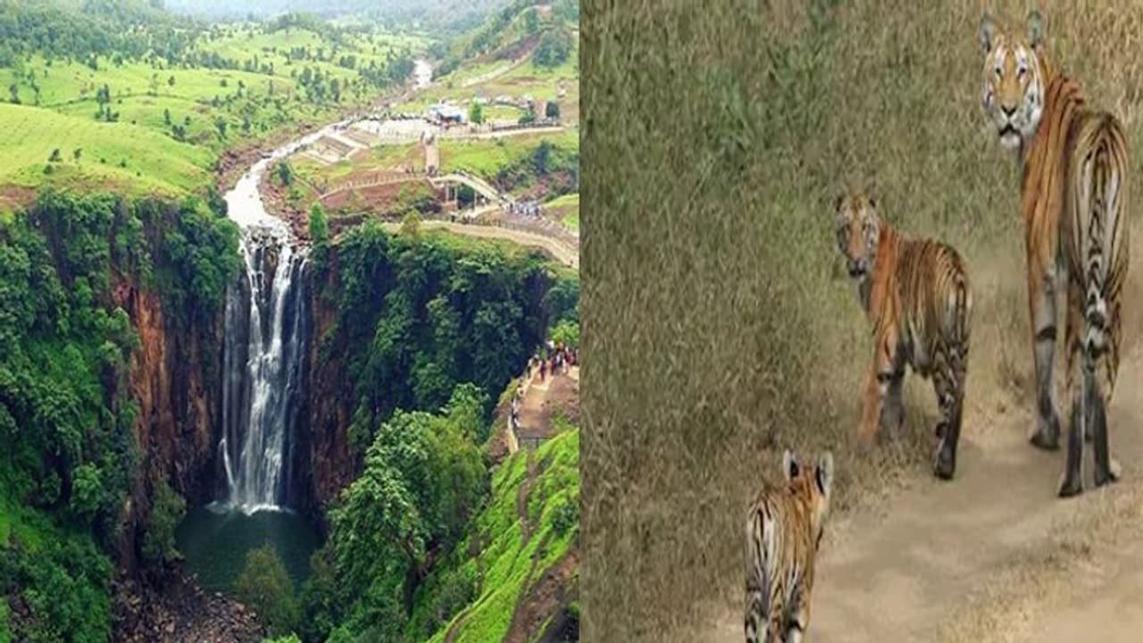 न्यू ईयर सेलिब्रेट करने के लिए एकदम परफेक्ट है MP के यह 5 टूरिस्ट स्पॉट्स, इस बार प्लान करें अपना वेकेशन न्यू ईयर सेलिब्रेट करने के लिए एकदम परफेक्ट है MP के यह 5 टूरिस्ट स्पॉट्स, इस बार प्लान करें अपना वेकेशन