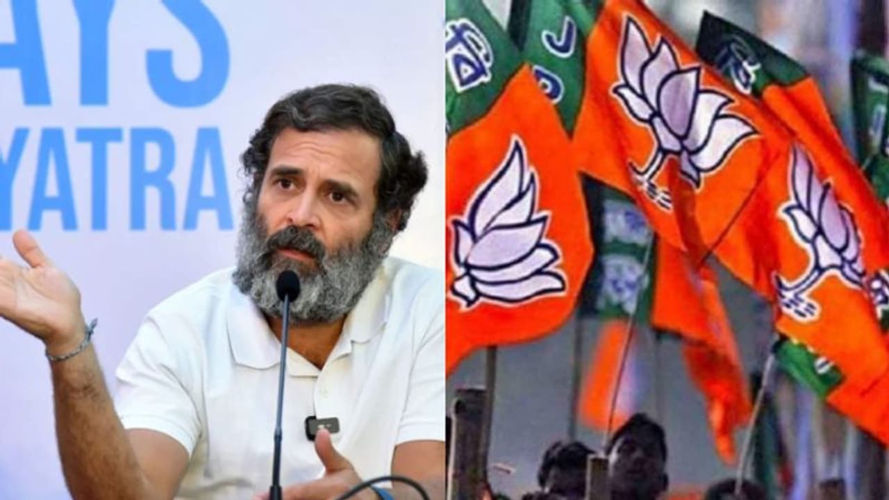 രാഹുൽ ഗാന്ധിക്കെതിരെ രാജ്യവ്യാപക പ്രതിഷേധത്തിന് ബിജെപി; ഒബിസി വിഭാഗത്തെ അപമാനിച്ചെന്ന പ്രചാരണം ശക്തമാക്കും